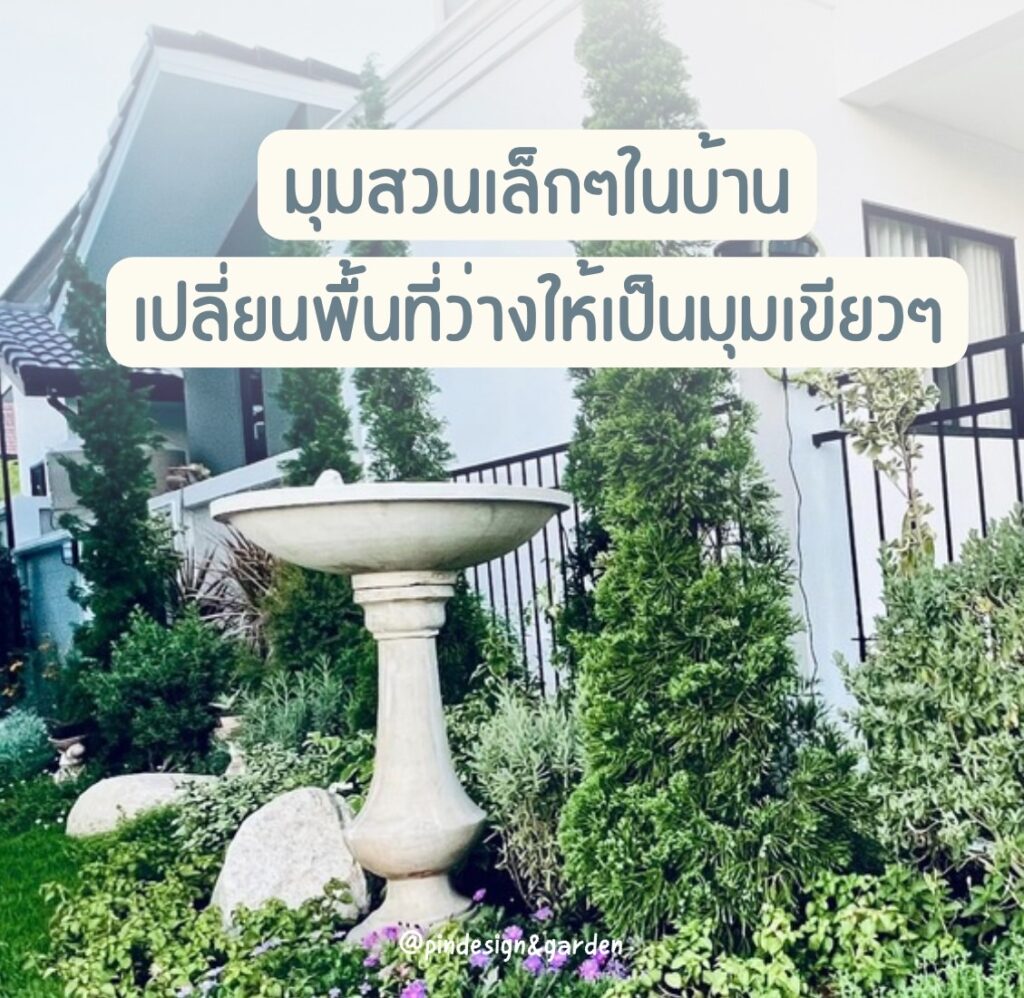 พื้นที่เล็กๆ ที่สร้างความสุขได้ไม่รู้จบ