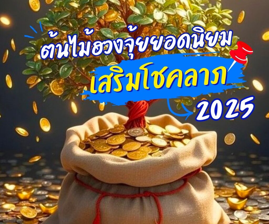 ต้นไม้ฮวงจุ้ยยอดนิยม เสริมโชคลาภ 2025