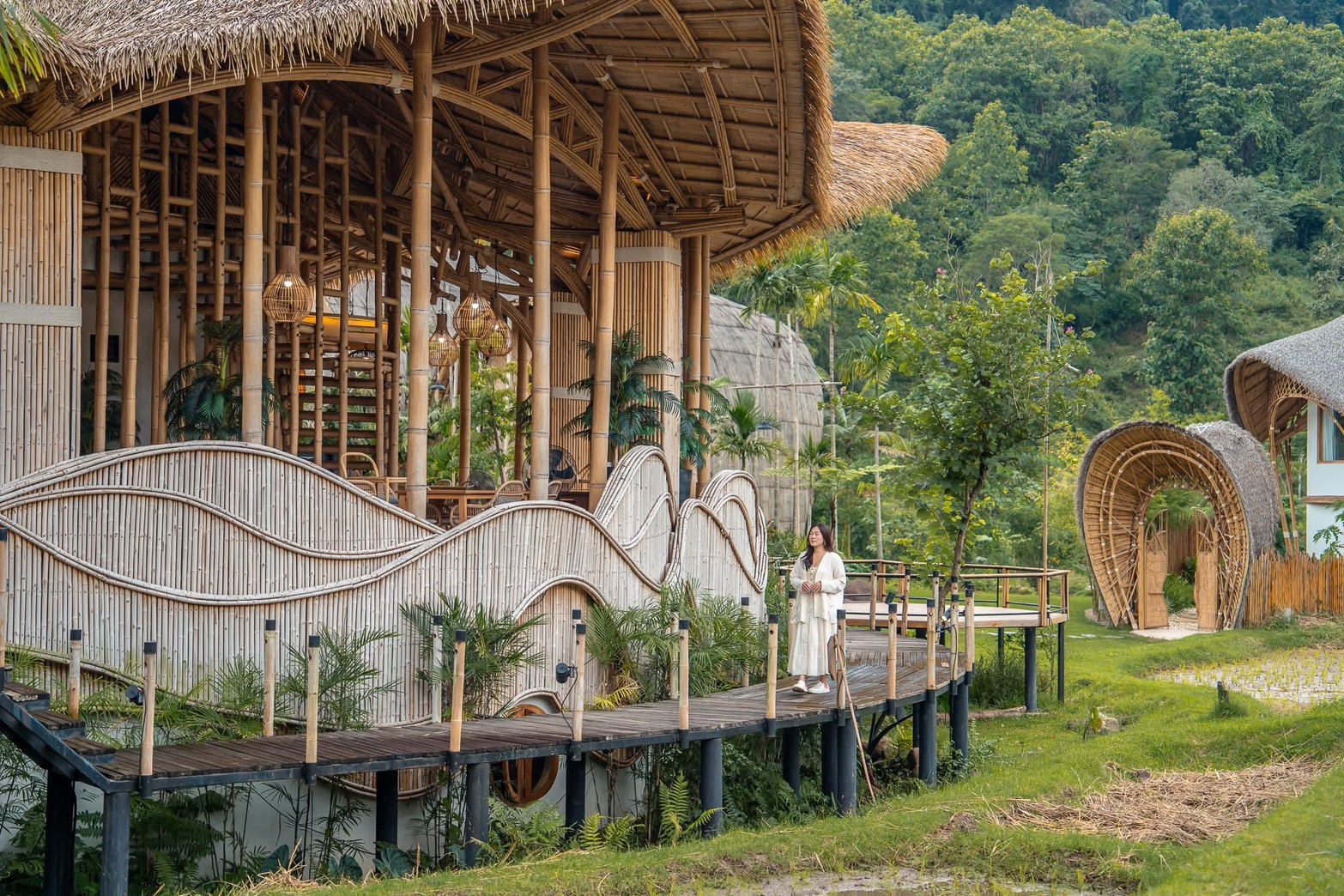 Natural Tropical Bamboo Design