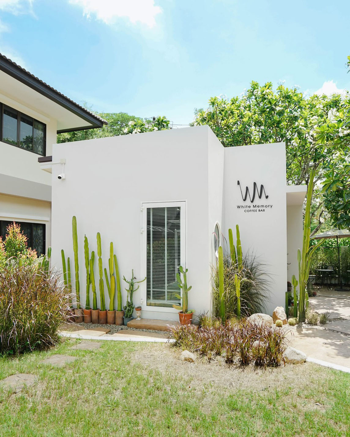 Modern Desert Garden